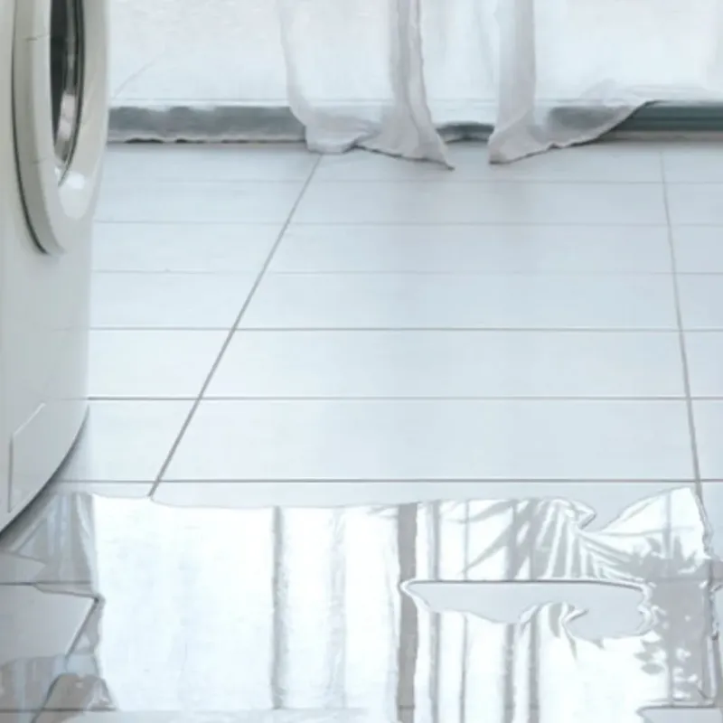 Appliance Leak Cleanup in Kingsbury County, SD