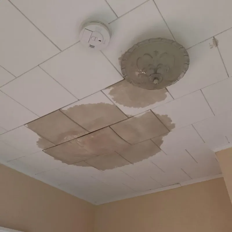 Ceiling Water Damage Repair in Kingsbury County, SD
