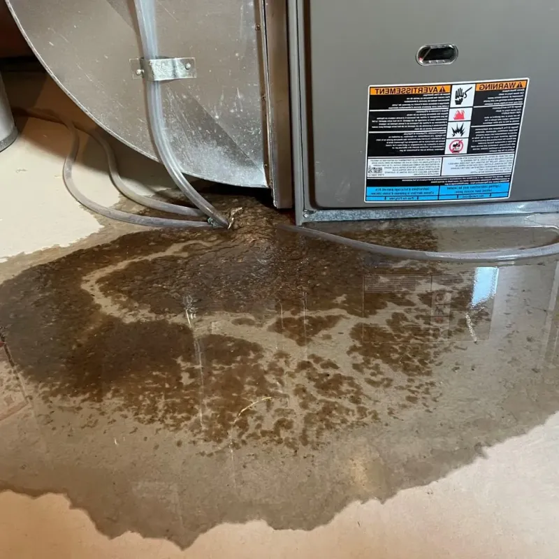 Pipe Burst and Leak Restoration in Kingsbury County, SD