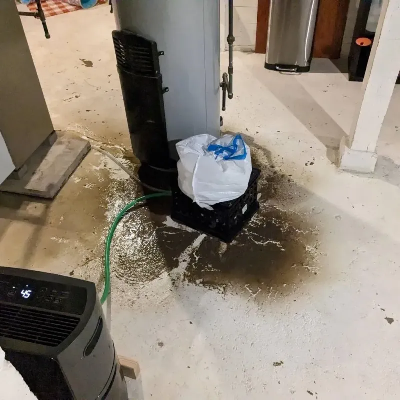 Sewage Backup Cleanup Service in Kingsbury County, SD